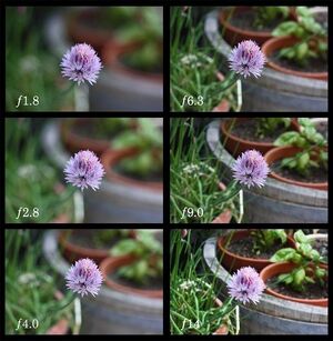 Aperture comparison — from wide open to closed down