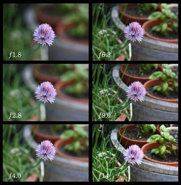 Fil:Aperture-comparison.jpeg